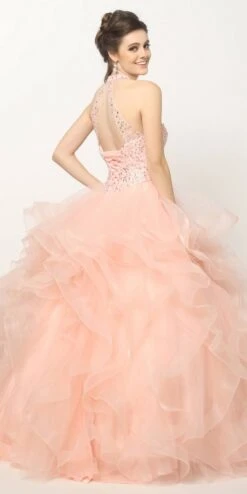 Juliet 1420 Crystal Beading Layered Tulle Skirt Quinceanera Dress(Crystal Beading Layered Tulle Skirt Quinceanera Dress Blush) -Discount Dress Shops 1420 juliet blush back