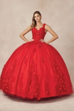 Juliet 1437 Floral Applique Quinceanera Ball Gown With 3D Flowers(Juliet 1437 Floral Applique Quinceanera Ball Gown With 3d Flowers) -Discount Dress Shops 1437 red full