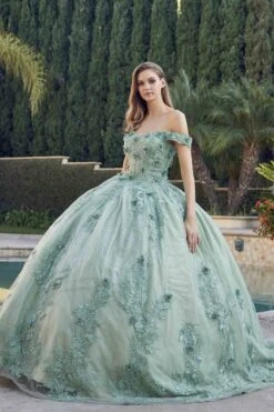 Juliet 1445 Long 3D Floral Appliques Off Shoulder Poofy Ball Gown(Juliet 1445 Long 3d Floral Appliques Off Shoulder Poofy Ball Gown)