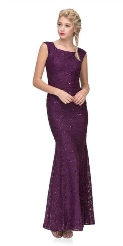 Eureka 2072 Sleeveless Lace Sequins Fit And Flare Gown(Sleeveless Lace Sequins Fit And Flare Evening Gown Blush Floor Length) -Discount Dress Shops 2072 eureka fashion plum 5439934f 6b67 4a68 8b81 aa5ec7d15bad