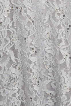 Eureka 2072 Sleeveless Lace Sequins Fit And Flare Gown(Sleeveless Lace Sequins Fit And Flare Evening Gown Blush Floor Length) -Discount Dress Shops 2072eu zoom 791c520b c05e 4c5b 8989 6b50d42511f9