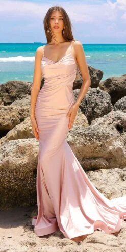 Amelia Couture 3012 Floor Length Fitted Sleeveless Corset Open Back Gown(Amelia Couture 3012 Floor Length Fitted Sleeveless Corset Open Back Gown)