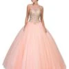 Eureka 3188 Cut-Out Back Embroidered Quinceanera Dress(Cut Out Back Embroidered Quinceanera Dress Blush)