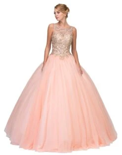 Eureka 3188 Cut-Out Back Embroidered Quinceanera Dress(Cut Out Back Embroidered Quinceanera Dress Blush)