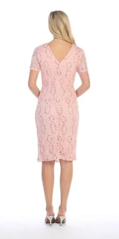 Celavie 6038 Short Sleeved Short Side Gathered Knee Length Dress(Short Sleeved Short Side Gathered Royal Blue Cocktail Dress) -Discount Dress Shops 6038 celavie blush back 6eb6938b 3b34 4aad 8035 8feca3952749