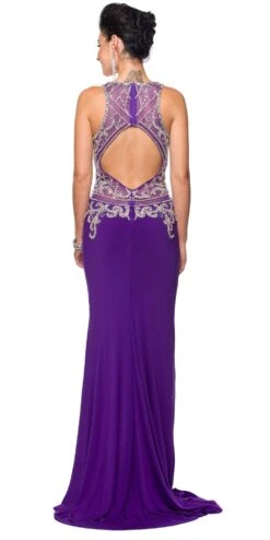 Juliet 618 Long Dress Beaded Bodice Sheer Midriff Cut Out Back(Long Prom Dress Beaded Bodice Sheer Midriff Cut Out Back Charcoal) 13 Juliet 618 Long Dress Beaded Bodice Sheer Midriff Cut Out Back(Long Prom Dress Beaded Bodice Sheer Midriff Cut Out Back Charcoal) -Discount Dress Shops 618 juliet dress purple back 4279bc5d 3d15 4e27 9e23 f0b368f32f69