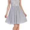 Celavie 6344S Short Sleeveless Party Lace/Chiffon Dress A-line(Silver Sleeveless Short Party Lace Dress A Line)