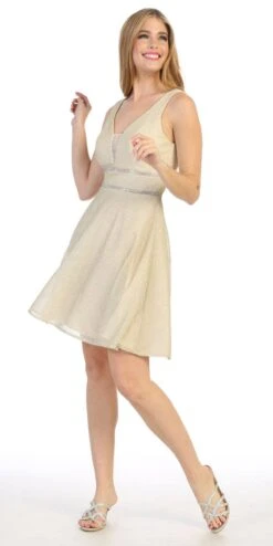 Celavie 6495S Short V-Neck And Back A-Line Dress(Short V Neck And Back Homecoming Dress Champagne) -Discount Dress Shops 6495s celavie champagne left side