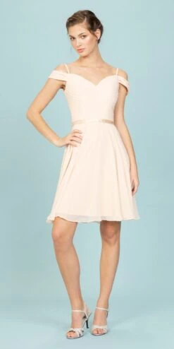 Eureka 7622 Cold-Shoulder Short Chiffon A-Line Dress(Cold Shoulder Short Homecoming Dress Lilac) -Discount Dress Shops 7622 eureka champagne side de22b261 223b 49ea b473 9e6765a795c6