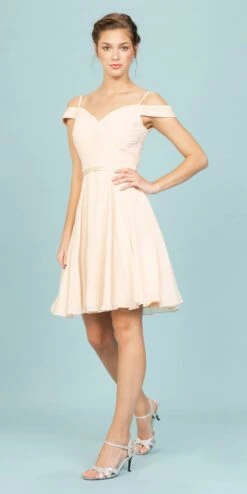 Eureka 7622 Cold-Shoulder Short Chiffon A-Line Dress(Cold Shoulder Short Homecoming Dress Lilac) -Discount Dress Shops 7622 eureka champagne 399b060b b23e 47cb 822e 3ee98d15f71c