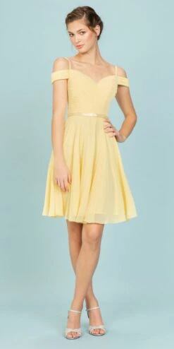Eureka 7622 Cold-Shoulder Short Chiffon A-Line Dress(Cold Shoulder Short Homecoming Dress Lilac) -Discount Dress Shops 7622 eureka yellow side a3766aa7 0b66 4baa b9a9 cadd6038d93f