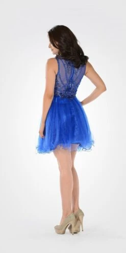 Poly USA | Ed Young 7686 Sleeveless Tulle Skirt Embellished Bodice Dress(Sleeveless Tulle Skirt Embellished Bodice Damas Dress Short Red) -Discount Dress Shops 7686po royal bk d123c830 34b6 405e 83a6 3c1c6b92dd7f