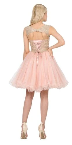 Poly USA | Ed Young 8302 Homecoming Short Dress Cut-Out Lace Up Back(Burgundy Homecoming Short Dress Cut Out Lace Up Back) -Discount Dress Shops 8302 poly usa blush back 66729ed6 9479 41b0 a572 288e5b4783cc