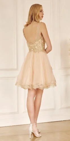 Juliet 835 Short Tulle A-Line Dress Lace Applique Bodice(Short Tulle A Line White Gold Homecoming Dress Lace Applique Bodice) -Discount Dress Shops 835 Champagne 3