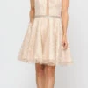 Poly USA | Ed Young 8506 Short Spaghetti Halter A-Line Lace Dress Cut-Out Back(Short Halter Homecoming Dress Cut Out Back Champagne)