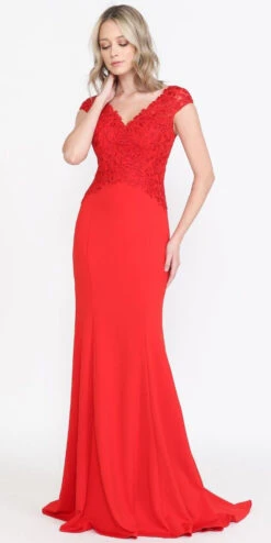 Poly USA | Ed Young 8558 Long Cap Sleeve V-Neck Dress Embroidered Top(Poly Usa 8558 Long Cap Sleeve V Neck Dress Embroidered Top)