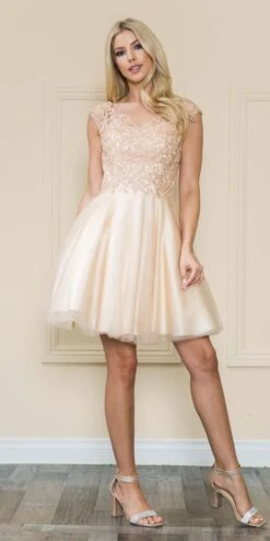 Poly USA | Ed Young 8902 Mesh Layered Skirt Dress Embroidery Top(Poly Usa 8902 Mesh Layered Skirt Dress Embroidery Top) -Discount Dress Shops 8902Champagne 16