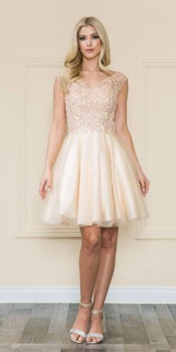 Poly USA | Ed Young 8902 Mesh Layered Skirt Dress Embroidery Top(Poly Usa 8902 Mesh Layered Skirt Dress Embroidery Top)