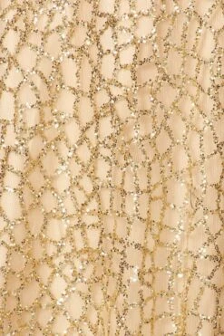 Eureka 9005 Glitter Mesh A-Line Long Prom Dress V-Neck(Gold Glitter Mesh A Line Long Prom Dress V Neck) -Discount Dress Shops 9005 champagne zoom