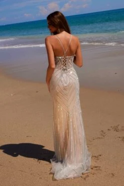 Nox Anabel C1632 Applique Tulle Gown Lace-Up Back Dress(Nox Anabel C1632 Applique Tulle Gown Lace Up Back Dress) -Discount Dress Shops C1632SILVER NUDE 6