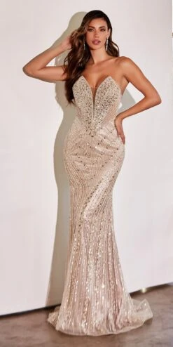 Ladivine CD0216 Floor Length Sexy Strapless Beaded Fitted Gown(Ladivine Cd0216 Floor Length Sexy Strapless Beaded Fitted Gown) -Discount Dress Shops CD0216 champagne