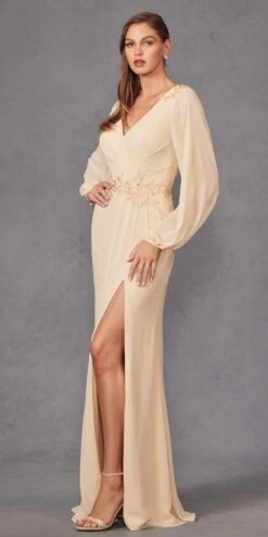 Juliet JTM16A Long Sleeve V-Neck Embroidered Applique Evening Gown(Juliet Jtm16a Long Sleeve V Neck Embroidered Applique Evening Gown) 13 Juliet JTM16A Long Sleeve V-Neck Embroidered Applique Evening Gown(Juliet Jtm16a Long Sleeve V Neck Embroidered Applique Evening Gown) -Discount Dress Shops JTM16ACHAMPAGNE 2 2e07a81e 3215 4e6c 81e3 9e6b3dacfa7d