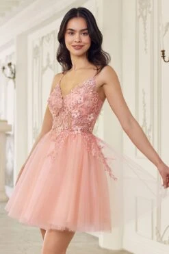 Ladivine SF047 Lace Bodice A-Line Layered Tulle Short Dress(Ladivine Sf047 Lace Bodice A Line Layered Tulle Short Dress) -Discount Dress Shops SF047 blush 1 0a135325 c815 4033 8d68 c11b56eb7692