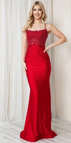Amelia Couture TM1001 Long Fitted Rhinestone Embroidered Sheath Dress(Amelia Couture Tm1001 Long Fitted Rhinestone Embroidered Sheath Dress) 15 Amelia Couture TM1001 Long Fitted Rhinestone Embroidered Sheath Dress(Amelia Couture Tm1001 Long Fitted Rhinestone Embroidered Sheath Dress) -Discount Dress Shops TM1001 amelia red