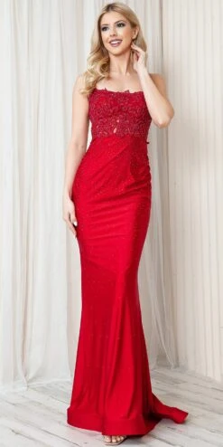 Amelia Couture TM1001 Long Fitted Rhinestone Embroidered Sheath Dress(Amelia Couture Tm1001 Long Fitted Rhinestone Embroidered Sheath Dress) 17 Amelia Couture TM1001 Long Fitted Rhinestone Embroidered Sheath Dress(Amelia Couture Tm1001 Long Fitted Rhinestone Embroidered Sheath Dress) -Discount Dress Shops TM1001 amelia red side