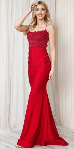 Amelia Couture TM1001 Long Fitted Rhinestone Embroidered Sheath Dress(Amelia Couture Tm1001 Long Fitted Rhinestone Embroidered Sheath Dress) 18 Amelia Couture TM1001 Long Fitted Rhinestone Embroidered Sheath Dress(Amelia Couture Tm1001 Long Fitted Rhinestone Embroidered Sheath Dress) -Discount Dress Shops TM1001 amelia red side2