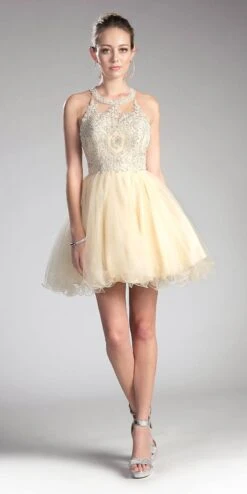 Ladivine UJ0119 Short Appliqued Bodice Halter Tulle Skirt Dress(Short Appliqued Bodice Halter Tulle Skirt Mauve Damas Dress) -Discount Dress Shops UJ0119 cinderella divine champagne