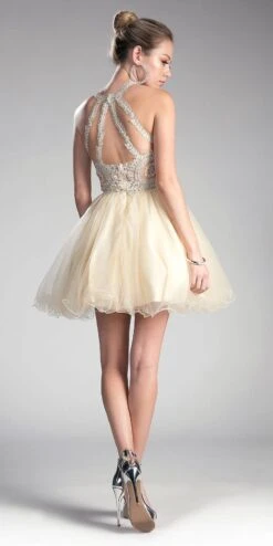 Ladivine UJ0119 Short Appliqued Bodice Halter Tulle Skirt Dress(Short Appliqued Bodice Halter Tulle Skirt Mauve Damas Dress) -Discount Dress Shops UJ0119 cinderella divine champagne back