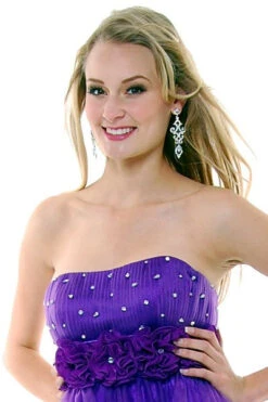 CLEARANCE - Cinderella Divine 414 Short A-Line Tulle Dress (Size 6)(Purple Homecoming Dress Short A Line Tulle Skirt Strapless Flower) -Discount Dress Shops yhst 94935736666794 2457 1419886964 bb8f3a50 9365 417d 9057 7509bc24125c